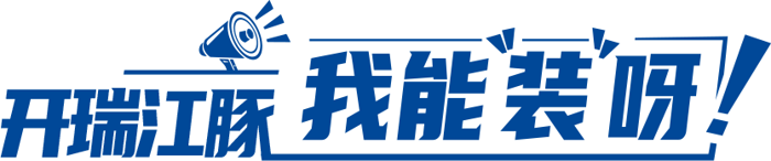 开瑞江豚3.png