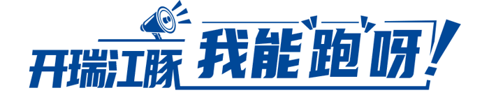 开瑞江豚5.png