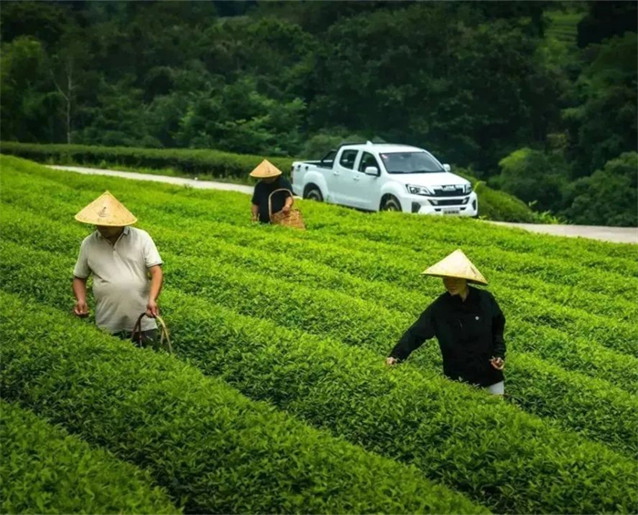 迈8.jpg