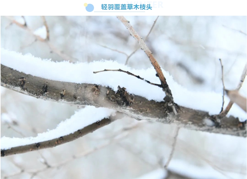 瑞雪乘风至 北奔厂区焕新颜