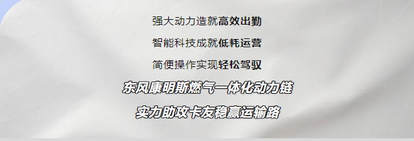 东风康明斯5.png