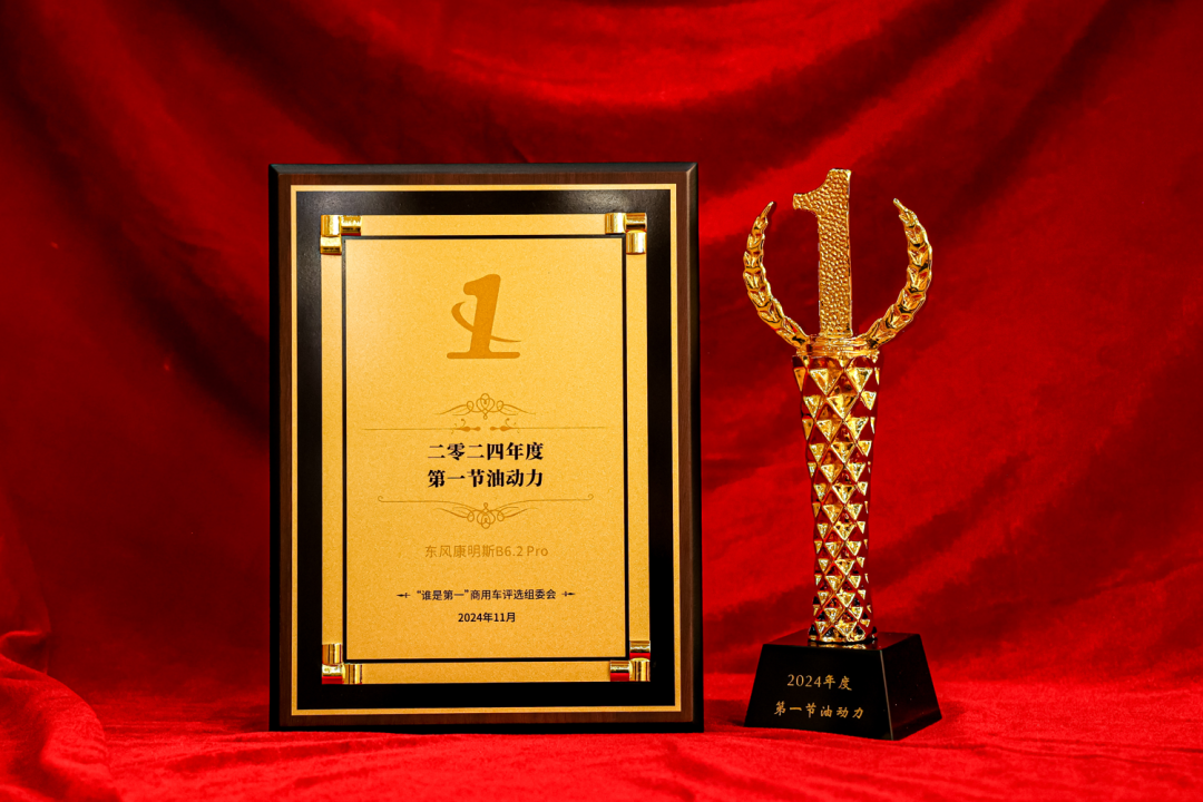 最大290马力 东康B6.2 Pro荣膺“2024年度第一节油动力”大奖1.png