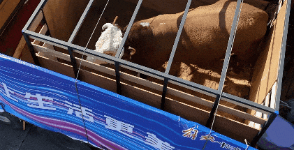 image015.gif
