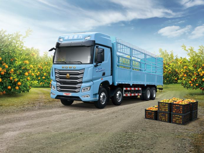 重汽豪沃TS 8×4载货车.jpg